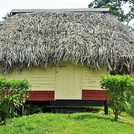 Nathylodge Bocas del Toro Exteriér fotografie