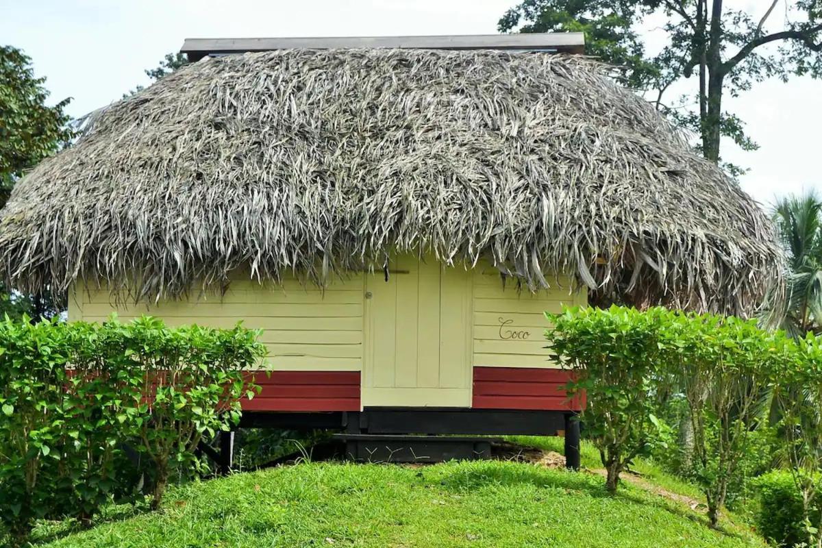 Nathylodge Bocas del Toro Exteriér fotografie