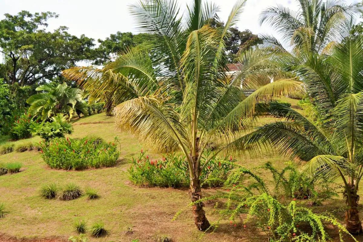 Nathylodge Bocas del Toro Exteriér fotografie