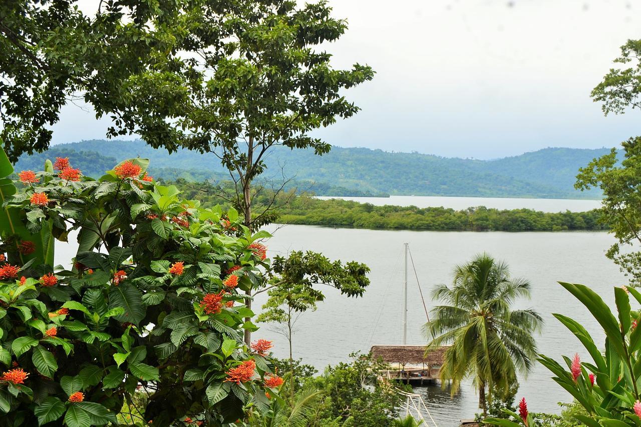 Nathylodge Bocas del Toro Exteriér fotografie