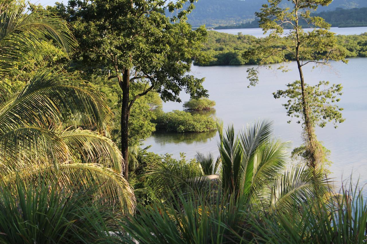 Nathylodge Bocas del Toro Exteriér fotografie