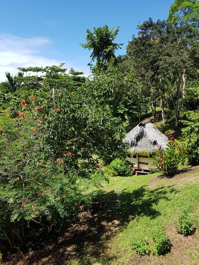 Nathylodge Bocas del Toro Exteriér fotografie